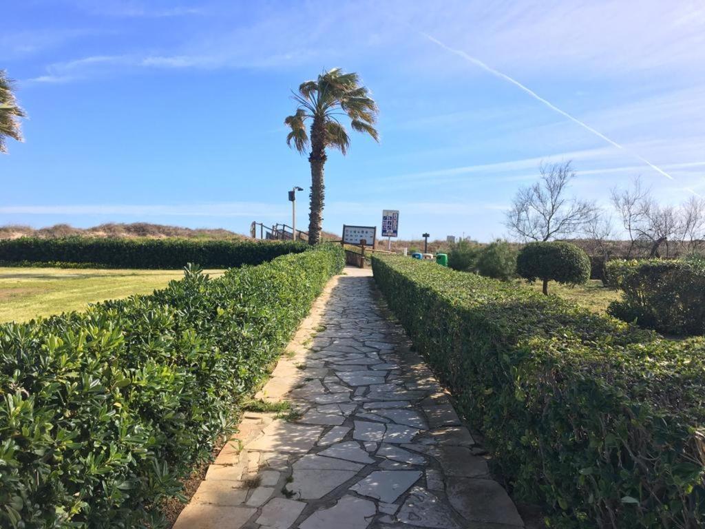Apartamento A 100 Metros De La Playa Con Grande Terraza Y Vistas Al Mar 代穆斯 外观 照片