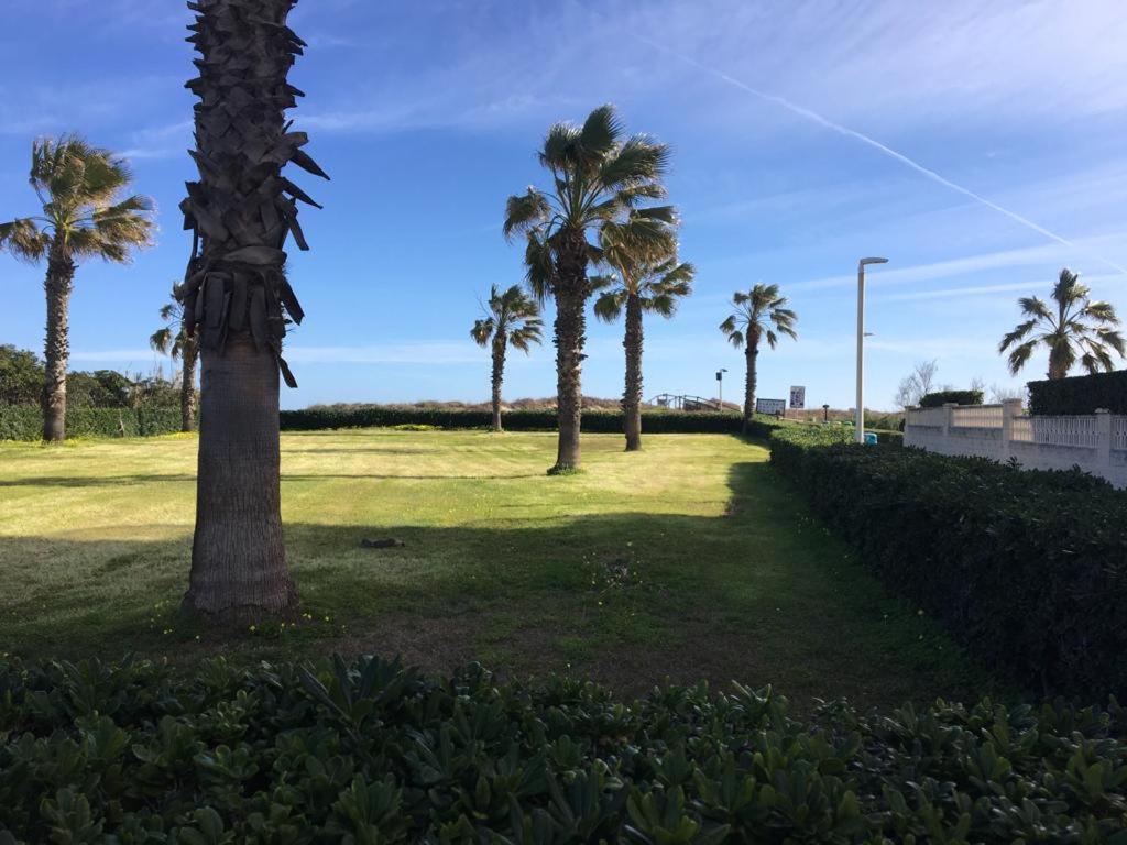Apartamento A 100 Metros De La Playa Con Grande Terraza Y Vistas Al Mar 代穆斯 外观 照片